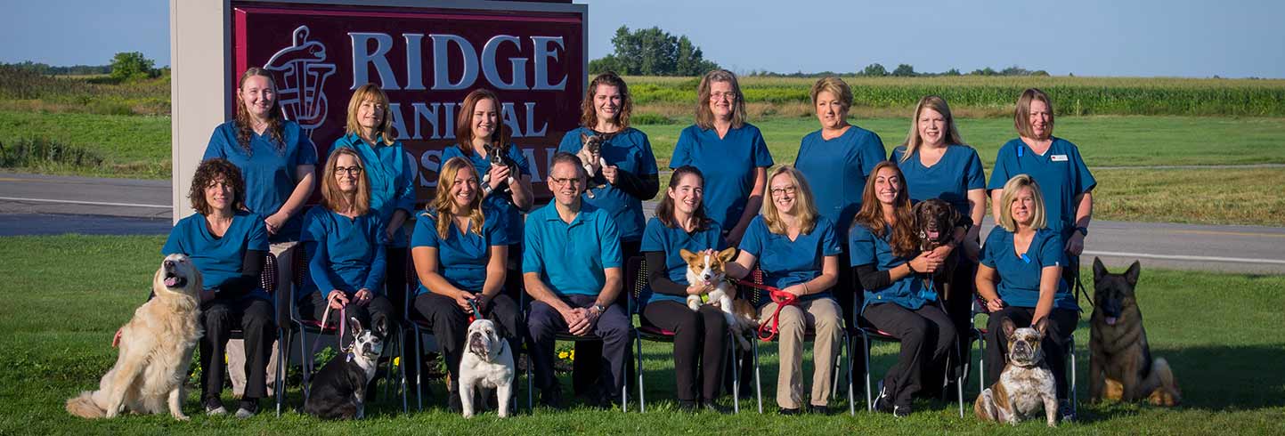 Ridge Animal Hospital | Middleport veterinarians