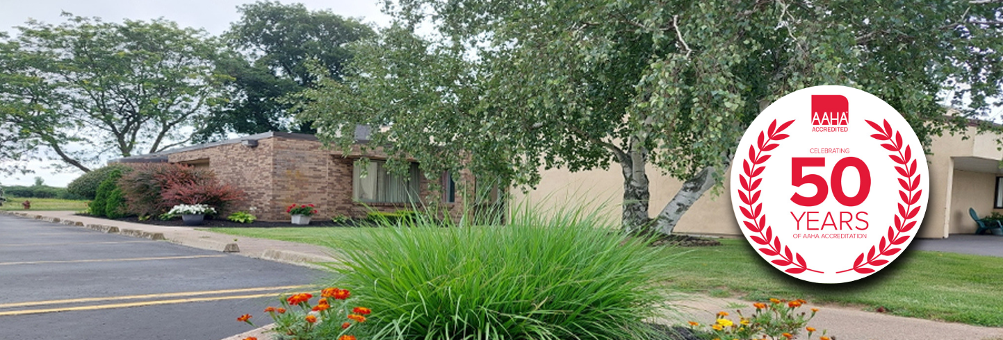 Middleport Veterinarians